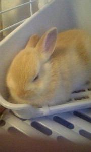 生まれて1ヶ月