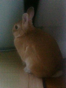 たたずむ後姿