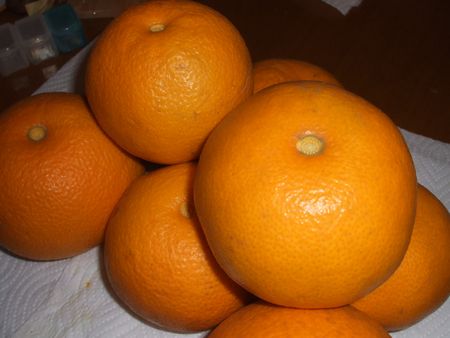 img-0013